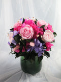Velvet Candy Bloom