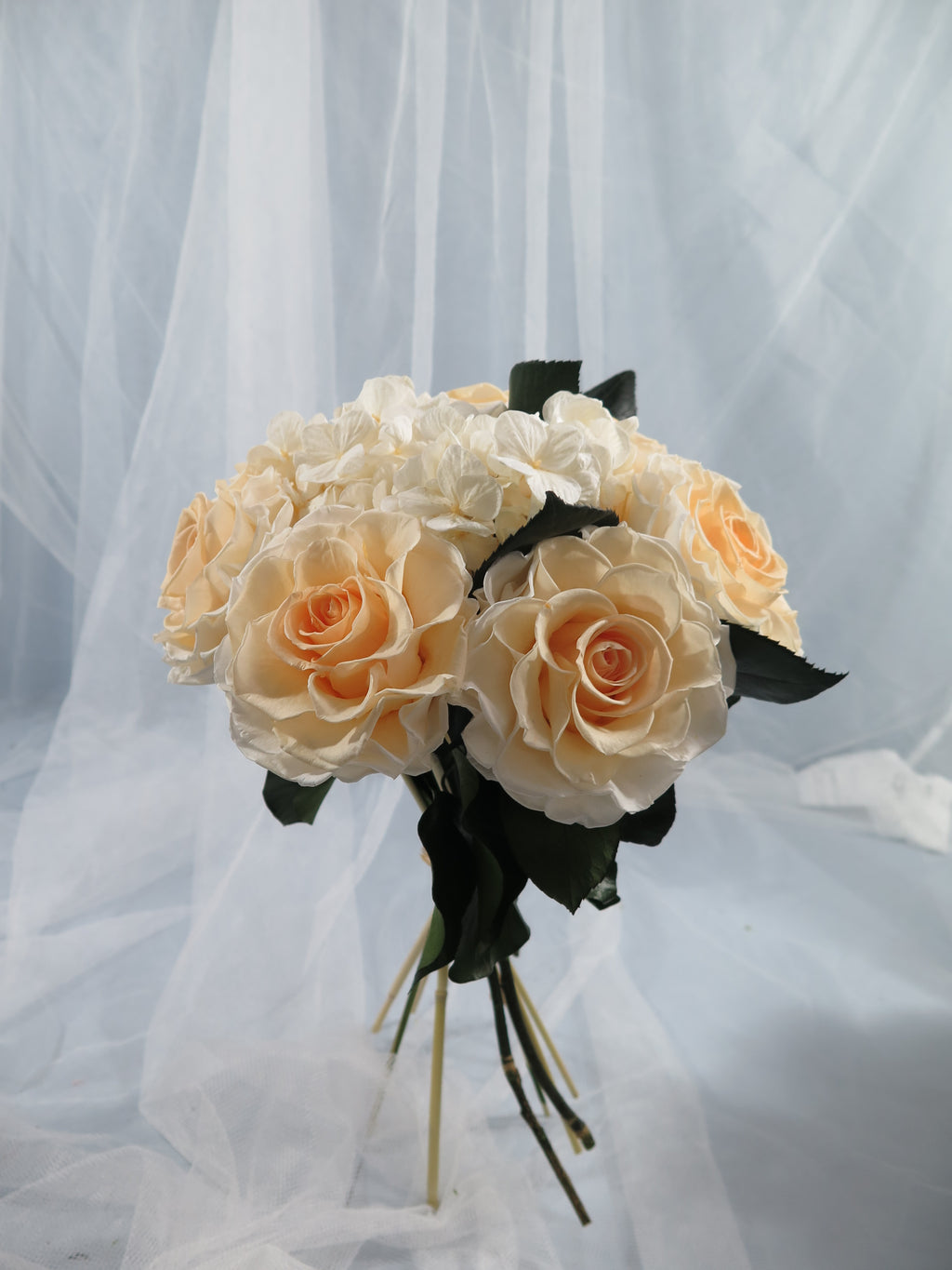 Ivory Rose Classic