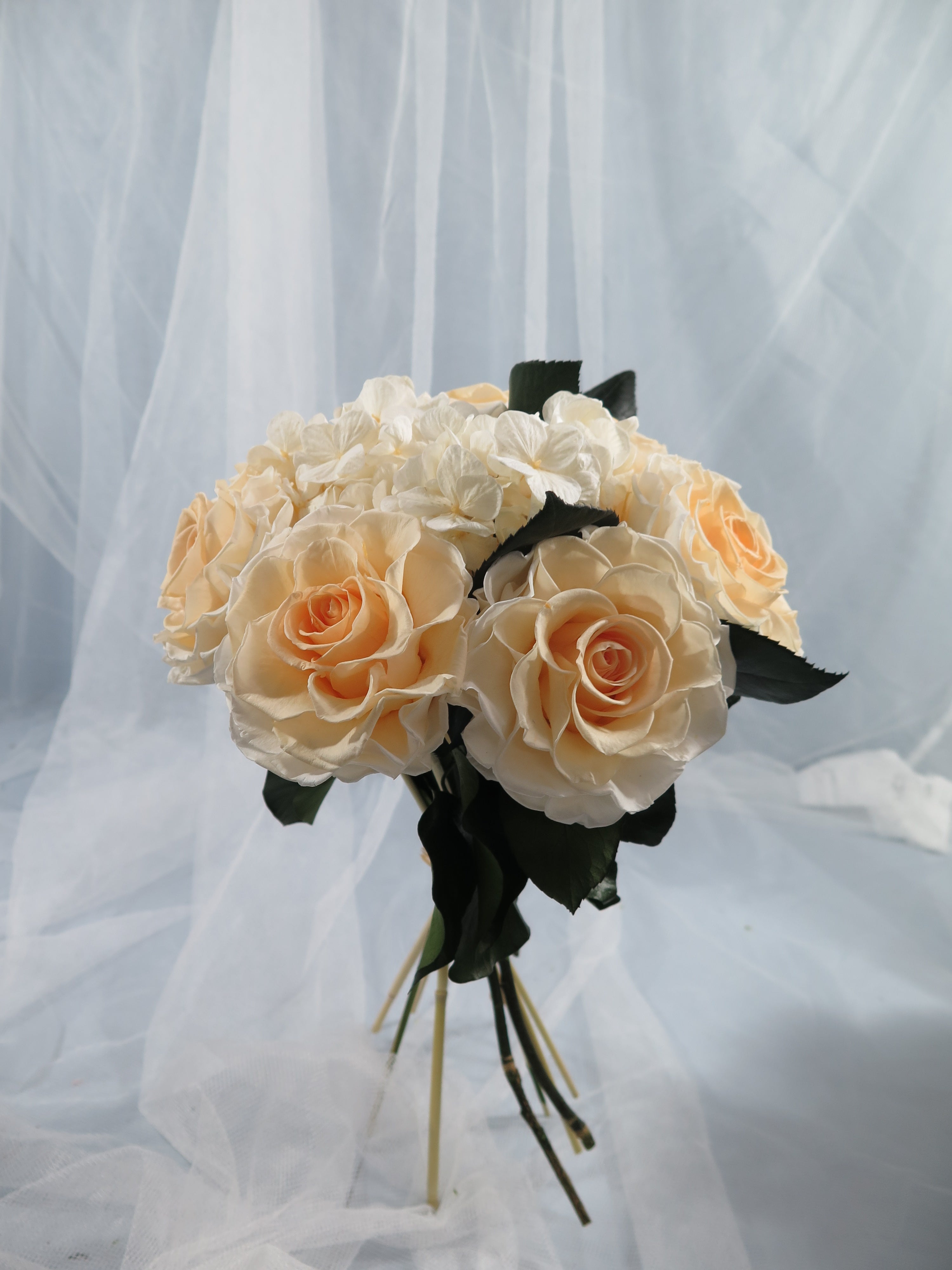 Ivory Rose Classic
